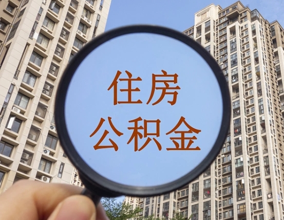 弥勒退休后查不到公积金明细了吗（退休后公积金查询不到原因）